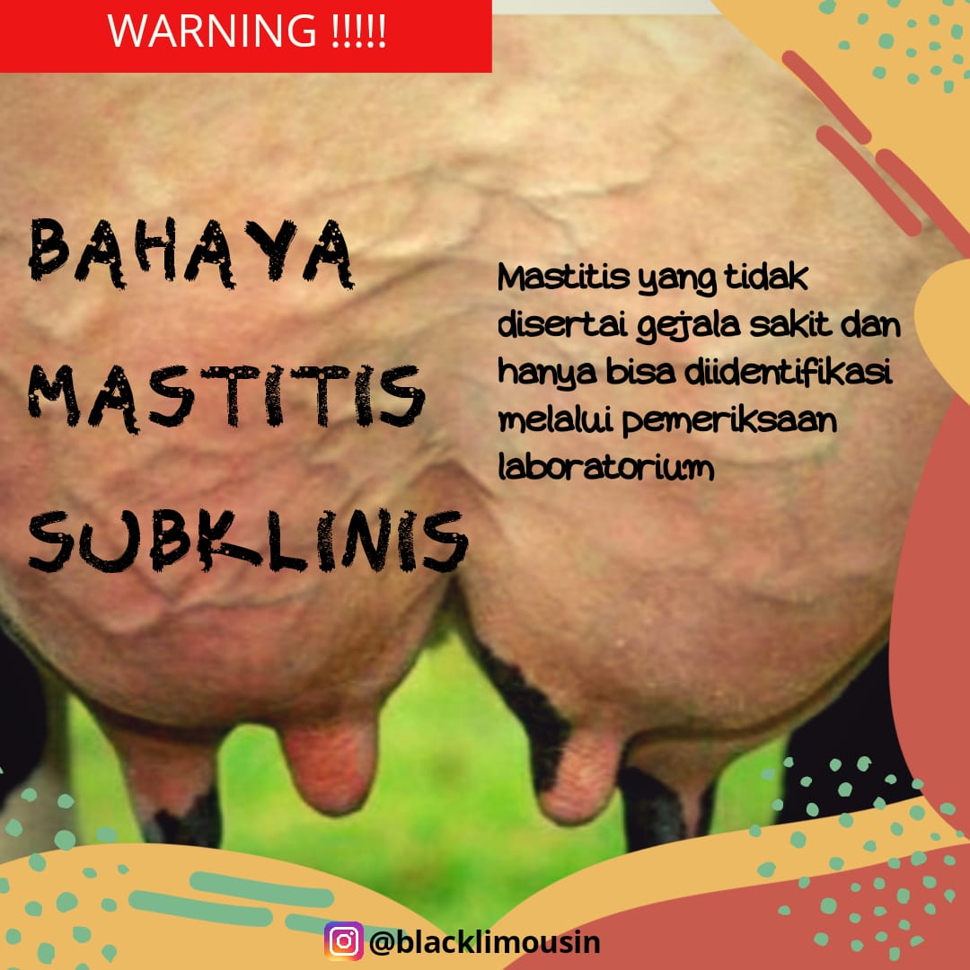 FarmLimousin's tweet photo. Hallo, sedikit berbagi info nih sahabat.
Buat para peternak hati² ya
#pwmp #wirausahamudapertanian #bpsdmp #polbangtan #kementerianpertanian https://t.co/m7DzsSQAEw