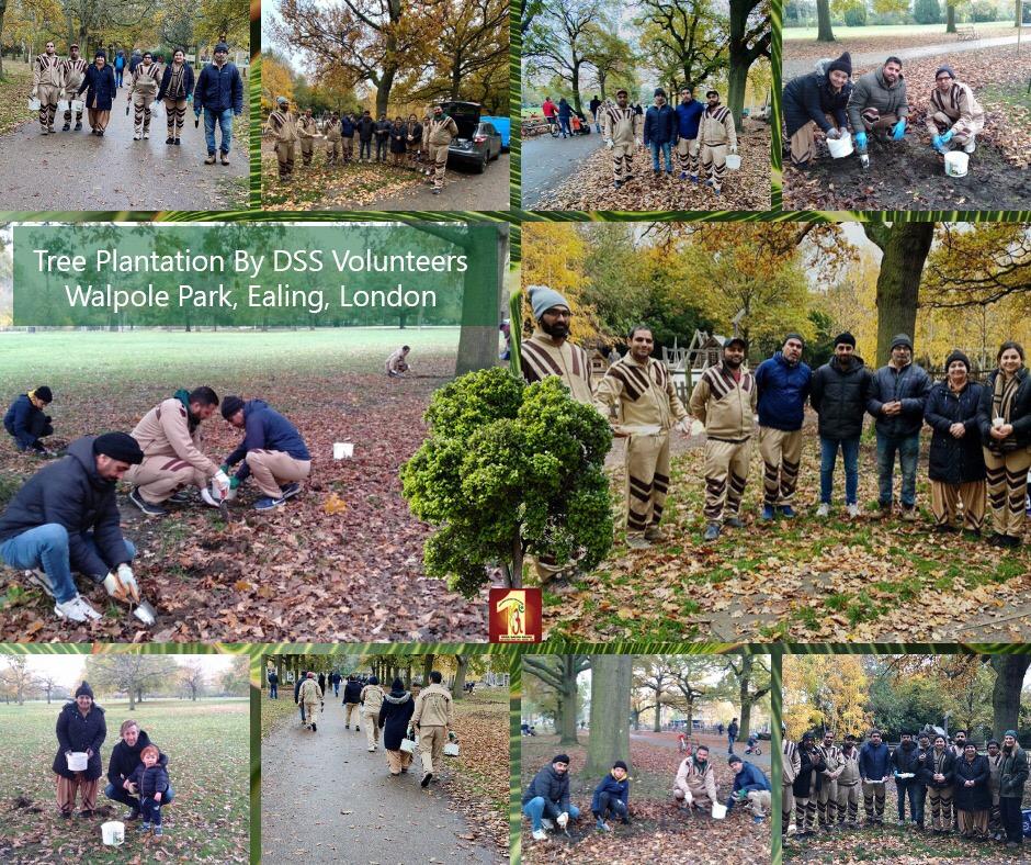 bk69321288's tweet photo. The environment has a great impact on our development. If our environment is pure then our life will be positively affected.
For this, @Gurmeetramrahim ji inspired Dera followers to plant saplings... #TheGreenDrive https://t.co/NCHwORAJsS