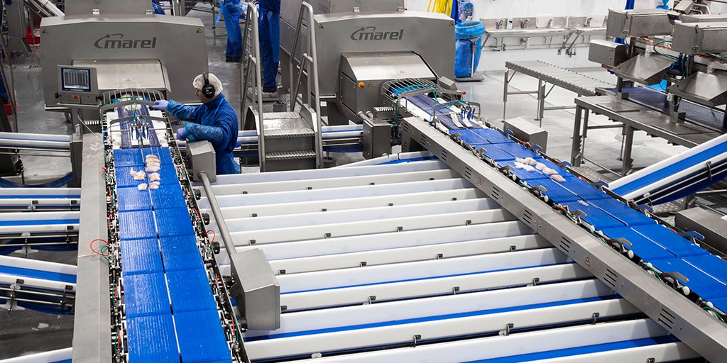 Is your #smartfactory performing optimally? Is there room for improvement? By booking in a #consultation, we can help you unearth gains to enhance the performance of your #fish processing facility info.marel.com/strategic-cons…