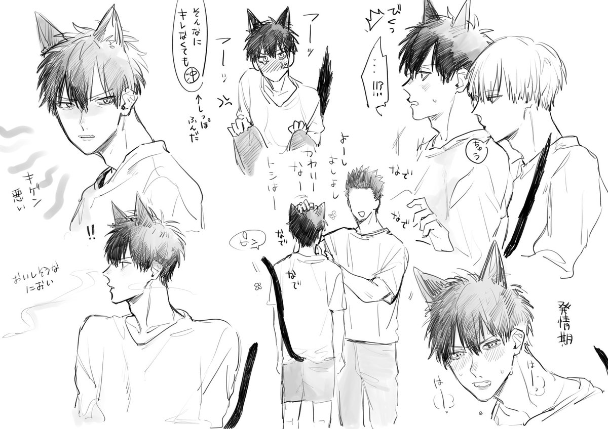 沖土ねこパロです。世界観的には現パロ沖土の土が猫化……
近藤さんには素直に甘えるねこひじฅ(^^ฅ)　(沖土)(猫化注意)