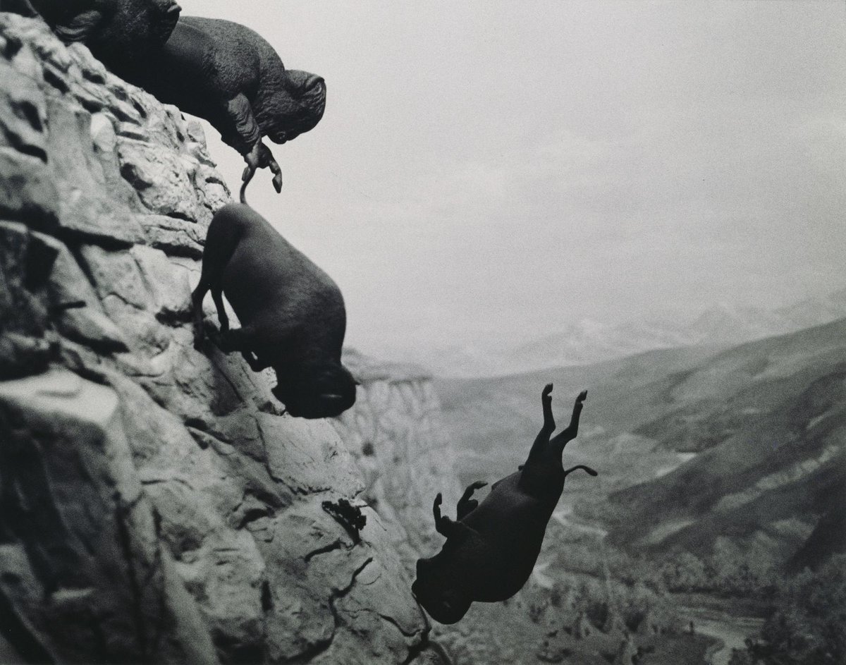 The Art of Album Covers .David Wojnarowicz’s “Buffalo” is one of the most haunting artistic responses to the AIDS crisis of the 1980s. Made in the wake of his own HIV-positive diagnosis, evoking feelings of doom and hopelessness.  #RIP .Used by U2 on the 1992 release 'One'