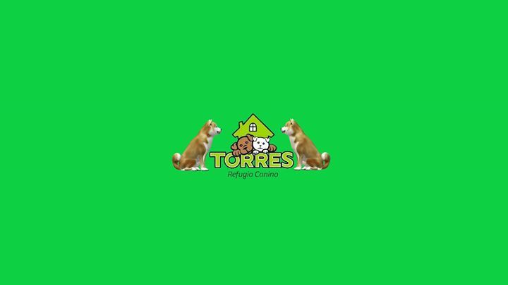 CaninoTorres's tweet photo. https://t.co/WdgFKSPDPr