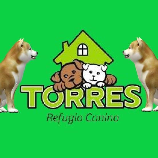 CaninoTorres's tweet photo. https://t.co/o8MiA7oNve