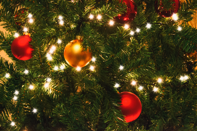 VincentMieville's tweet photo. Joyeux Noël, malgré tout !
Un nouveau billet sur mes #BlogNotes à l'approche de #Noël...
https://t.co/nlmgrxL7QH https://t.co/b1bJpzrnwO