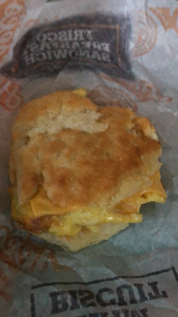 bigjunsk8r's tweet photo. @Hardees If your standards are like the quality of your food, perhaps you should close your doors! — Southwestern Omelet Biscuit https://t.co/9nAYwydMjB