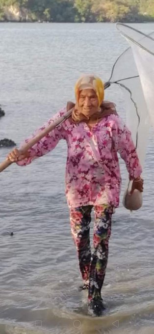 Bild auf Twitter anzeigen