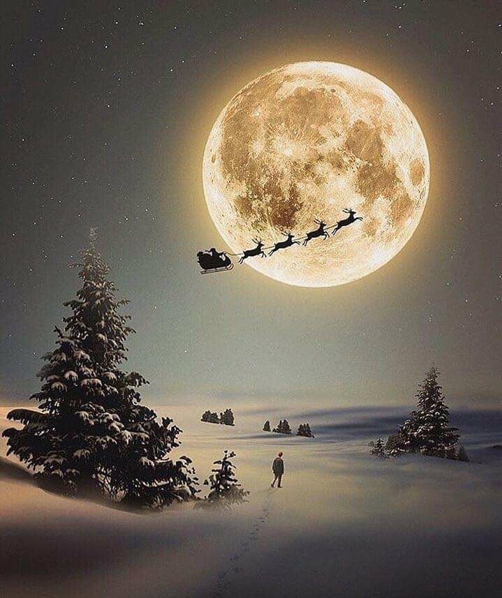 ElfLucie's tweet photo. In FIVE DAYS Santa Claus 🎅 will be coming to town! 

#Christmas #SantaClaus #ChristmasEve https://t.co/EoeWlsjE1w