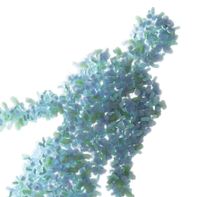 zoologicalscinz's tweet photo. Do Commensal #Microbes Stoke the Fire of #Autoimmunity?

Molecules produced by resident bacteria and their hosts may signal immune cells to attack the body’s own tissues.

Visit: https://t.co/DT2EbFCC88

#Immunology #Frankfurt #Germany #microbiology #2k19 https://t.co/VDj3kmSNBC