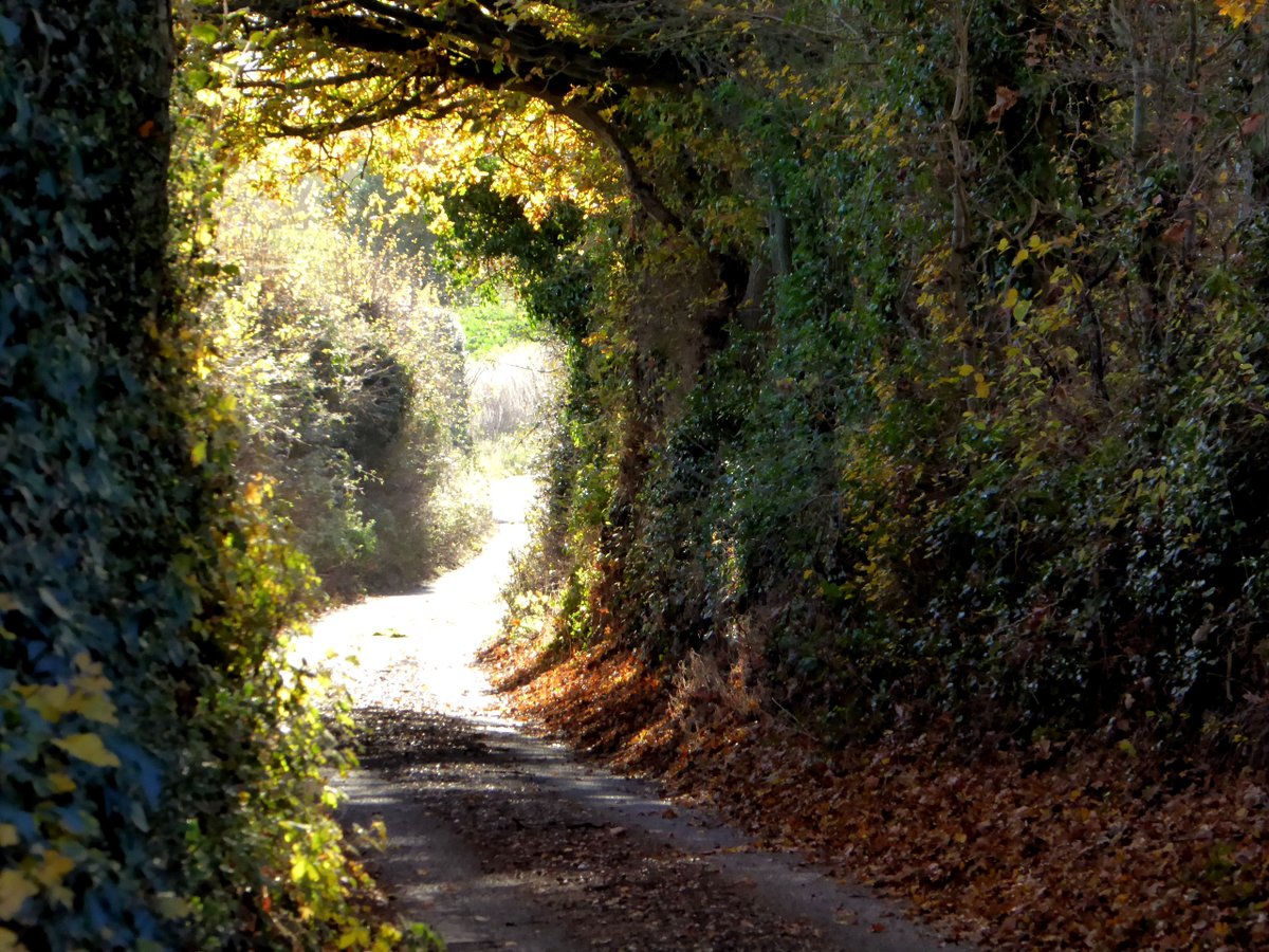 Jules Pretty tweet media