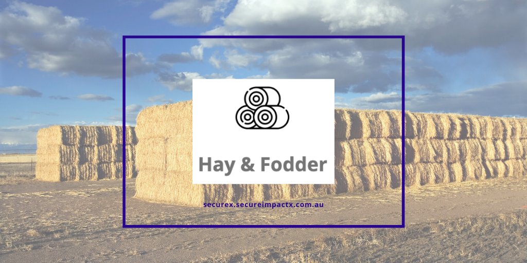 Secure Impact tweet media