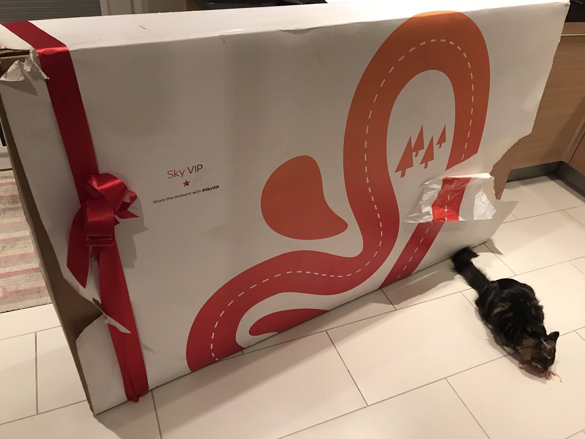 BennyHalton's tweet photo. #skyvip Thanks Sky! Quality bike https://t.co/0AzpVoJM2n