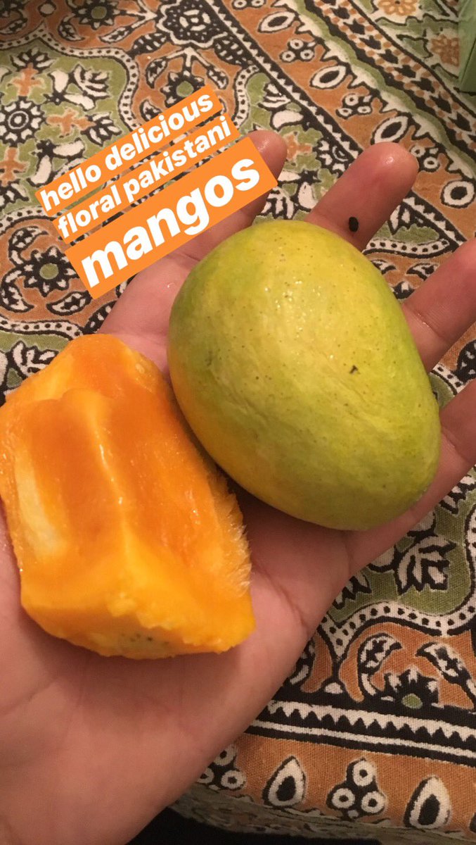 ahmed ali akbar (@radbrowndads) on Twitter photo Since 2018, I’ve been 🕵🏽♂️tracking🕵🏽♂️ the supply chain of the underground trade of Pakistan mangoes online. Moddlemen sell them at a huge premium to the customer using the secure messaging app WhatsApp. For <a href="/TestKitchen/">America's Test Kitchen</a> PROOF podcast, a 2 part episode. PT1:
podcasts.apple.com/us/podcast/pro… Since 2018, I’ve been 🕵🏽♂️tracking🕵🏽♂️ the supply chain of the underground trade of Pakistan mangoes online. Moddlemen sell them at a huge premium to the customer using the secure messaging app WhatsApp. For <a href="/TestKitchen/">America's Test Kitchen</a> PROOF podcast, a 2 part episode. PT1:
podcasts.apple.com/us/podcast/pro…