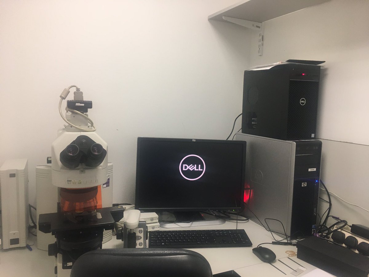 Lauren_C_Walker's tweet image. Day 5/7 #photos of our #lablife Rules: no people, no explanations. Originally challenged by @IanHarrison1987 . I challenge, if you want, @Geekazoid #HardwareUpdate #SoftwareUpdate #AllOfTheUpdates #PleaseWorkAfterChristmas 🙏