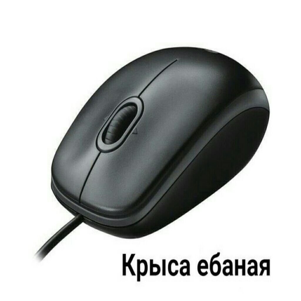kerjgth04's tweet photo. покидайте мемов с крысами по типу таких(не агрессивные тоже пж, валентинки кстати можно тоже кста, понравившиеся ретвитну, хотя поднимет ли это актив? а ладно мне просто нужны мемы с крысами пжжж)

игнорщики лохи кста) https://t.co/bSGn6tHlvv
