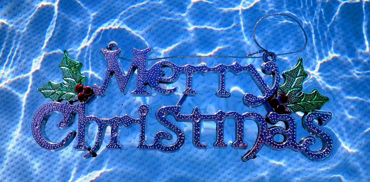 NeptuneFSC's tweet photo. Merry Christmas to all finswimmers and to all underwater athletes! https://t.co/NEwhcHdnhm