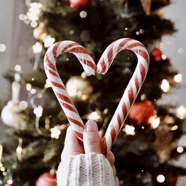Deo_Nice_'s tweet photo. Celebrar la epoca más linda del año 🎅🏻 siempre será lo más asombroso.
.
Celebremos con la mejor alegría 😁.
.
#navidad🎄 #navidad2019 #té #comsumirté #mejoralamemoria #cutis #deonice #cuidadofacial #skincareroutine #skincare #cuidadodelapiel #cuidadointegral https://t.co/XiXuRBon0T