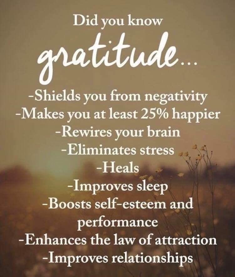 JereHill's tweet photo. So many benefits for being grateful!
More people should try it, maybe the world would be a better place.

#fitteam #grateful #gratitude #happy #healthy #life https://t.co/xIb4ej71pC