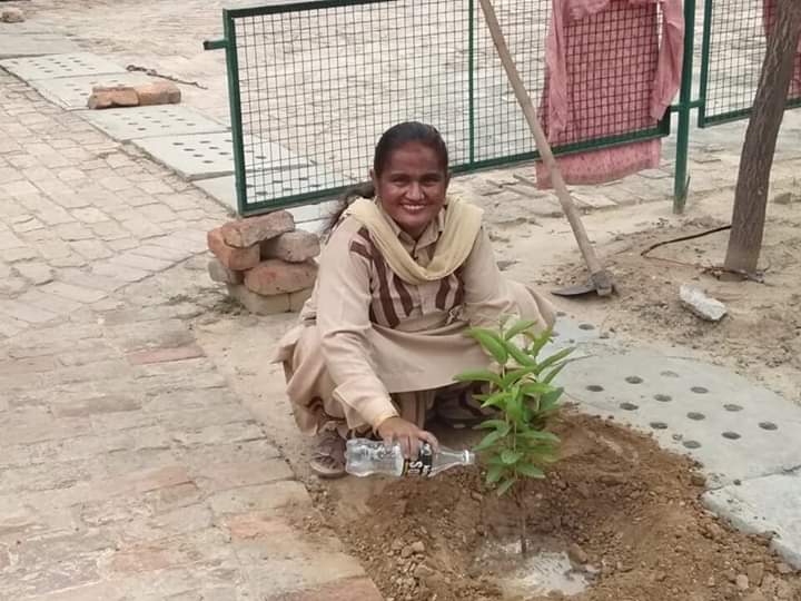 AshaMadaan6's tweet photo. #TheGreenDrive सत डा गूरूमीत राम रहीम सिह जी इनसा जी की प्ररेणा से हो कोई भी गमी खुशी या कोई वार त्यौहार  करके पौधारोपण  यह बना देते है हर दिन  यादगार https://t.co/tIdiSnOY3v