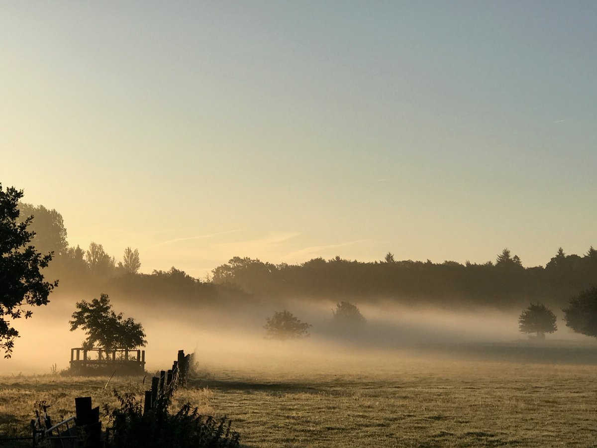 NorfolkPheasant's tweet photo. We offer Stately Stays in the beautiful Hoveton Hall Estate, set within 620 acres of sweeping parkland, gardens, woodland, and farmland - the perfect location for our simulated game shoot stays and days.
📷@HovetonHall
#CountryPursuits #VIPConcierge #SimulatedShoot https://t.co/QoJ1oZHUNA