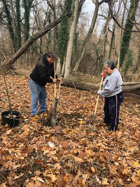 IPC_Chesapeake's tweet photo. Stillmeadow Community Church in #Baltimore stewards an 8-ac forest. #OneWaterPartnership friends planted 15 fruit trees and more help is needed to fight invasive vines taking over. This is what IPC does: bring people together to care for our web of life! https://t.co/bW10TVoJzM! https://t.co/6RfDRGhJTc