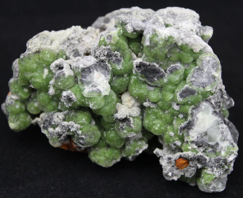 celestialearth7's tweet photo. Wavellite Cluster Mineral Specimen WAV8
$39.99 / Montgomery County, Arkansas
Size: width length 2.75" x 1.5"  x  height 1.5"
The wavellite on this piece is spread out and is well defined in areas. The rich "pea green" colored wavellite has a soft velvety luster. https://t.co/RuxjoPXJ4w
