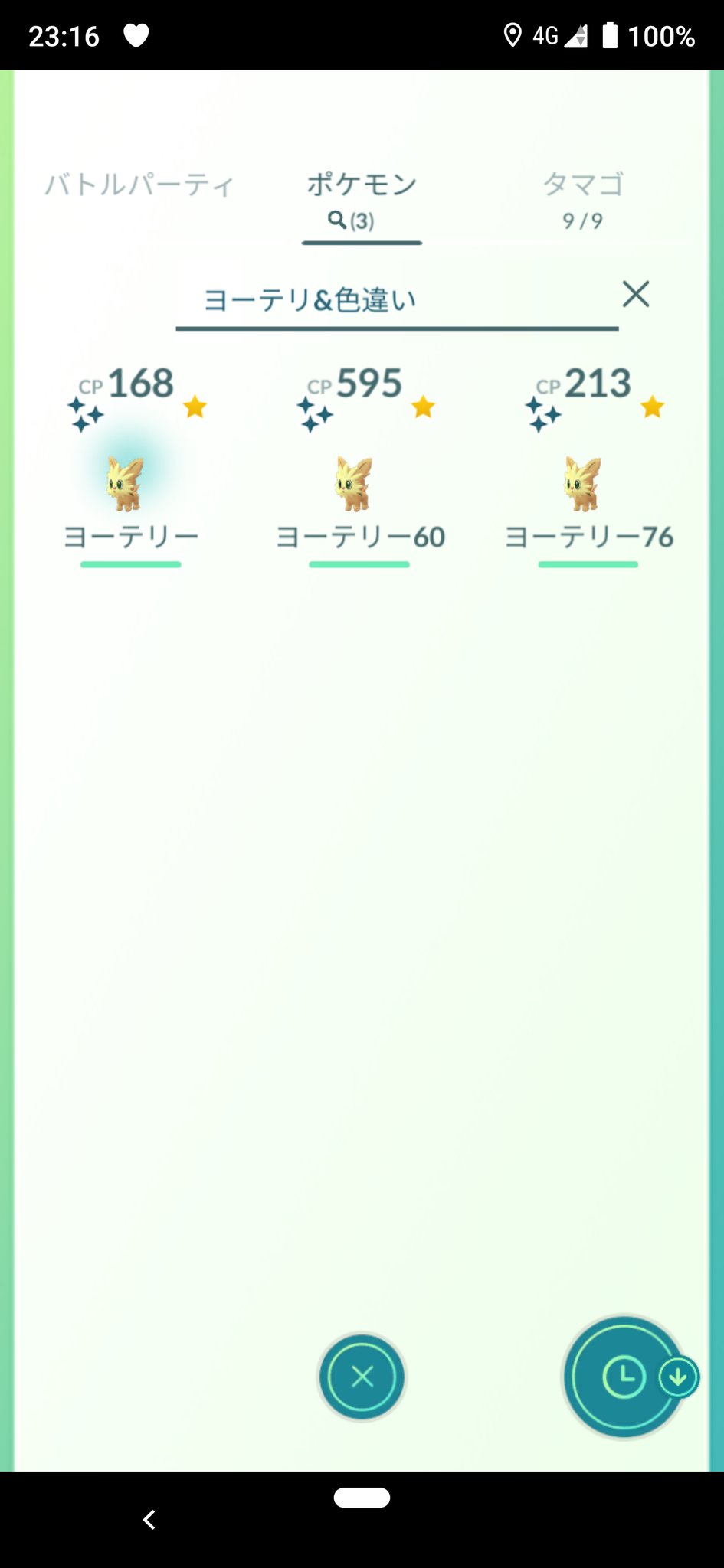 ヨーテリー色違い Twitter Search Twitter