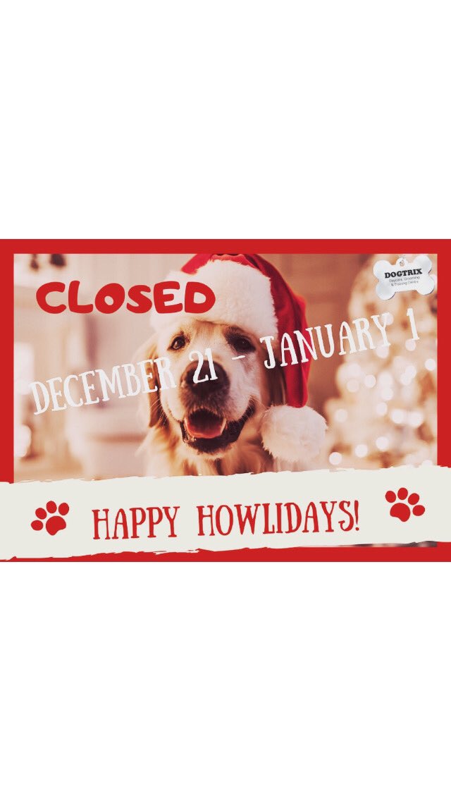 dogtrixinc's tweet photo. https://t.co/Q42DnEgjpW