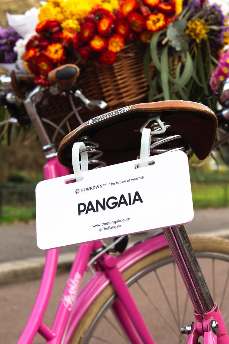thepangaia's tweet photo. #TBT to our Urban Flower Surprise &amp; Delight in London to spread #FLWRDWN love. Stay tuned and find out when #PANGAIA might make a surprise appearance in your city! Thank you @MdeFleursLtd for your cooperation and these beautiful dried flower arrangements. https://t.co/g90TRw3BNR