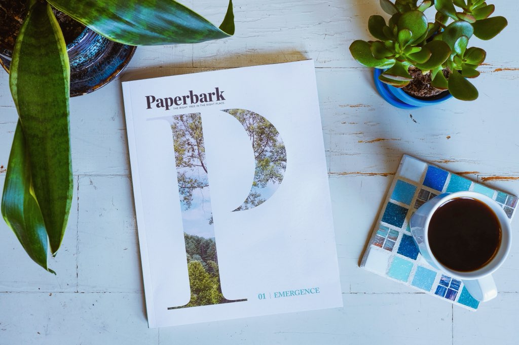 Have you checked out <a href="/PaperbarkMag/">Paperbark</a>, a literary collaboration between <a href="/SES_UMass/">UMass SES</a>,  <a href="/UMassHFA/">UMass Amherst HFA</a>, and 
<a href="/UMassLibraries/">UMass Amherst Libraries</a>? Their second issue is available to order now: paperbarkmag.org/subscribe