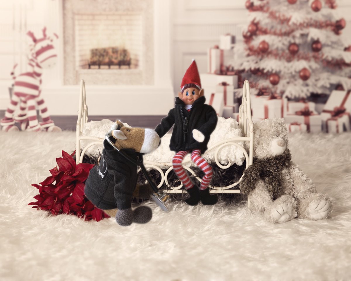 With all this festive cheer, I’ve burnt the candle at both ends so went to see a holistic elf doctor, he’s a gnome-opath 😎🎄#elfontheshelf #elf #elfdoctor #christmas #christmastree #lambournequinevets #gnome