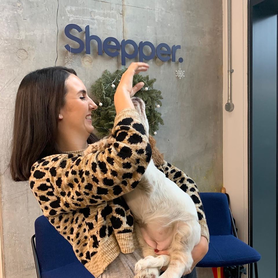 AskShepper's tweet photo. When doggies visit Shepper HQ ❤️ Thank-you to Humphrey from our partners at @guardhogtechnologies for bringing Rabbit along, we loved having her! 🐶 #dogsofinstagram #doglovers #dogstagram #Shepper #officedogs https://t.co/jmx0OYrVZO