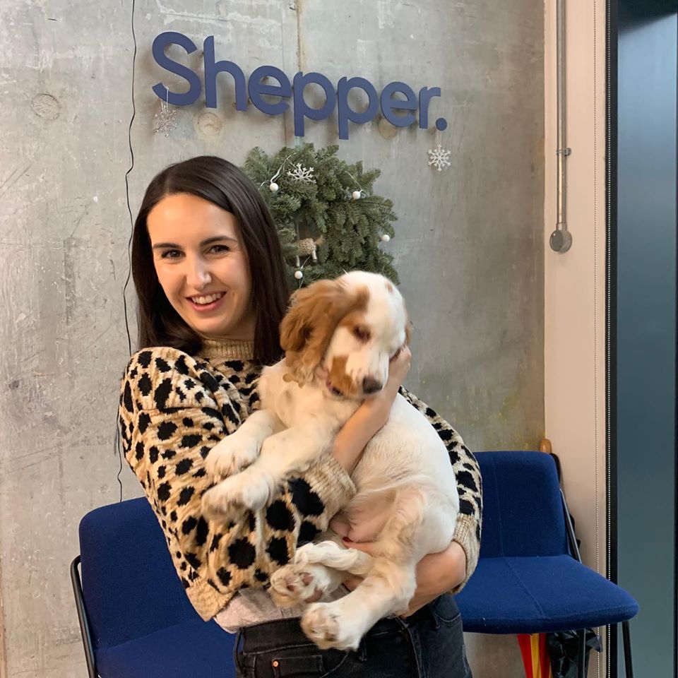 AskShepper's tweet photo. When doggies visit Shepper HQ ❤️ Thank-you to Humphrey from our partners at @guardhogtechnologies for bringing Rabbit along, we loved having her! 🐶 #dogsofinstagram #doglovers #dogstagram #Shepper #officedogs https://t.co/jmx0OYrVZO