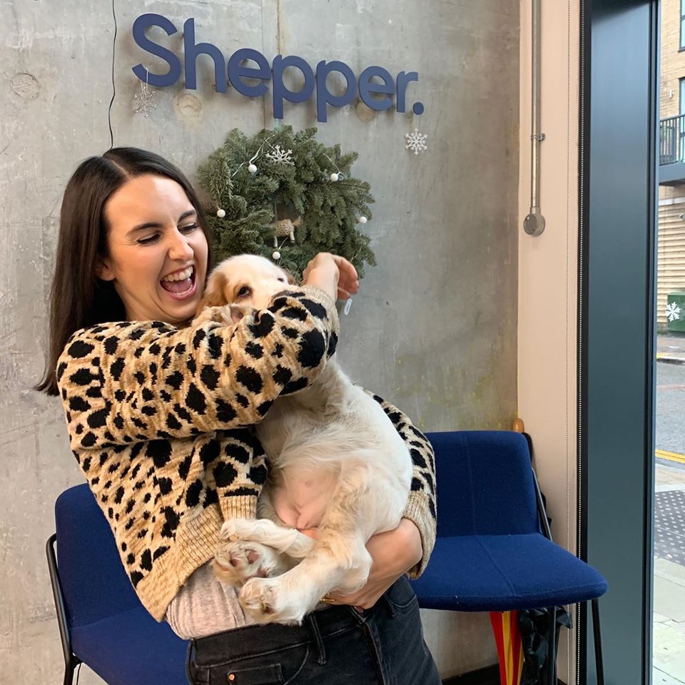 AskShepper's tweet photo. When doggies visit Shepper HQ ❤️ Thank-you to Humphrey from our partners at @guardhogtechnologies for bringing Rabbit along, we loved having her! 🐶 #dogsofinstagram #doglovers #dogstagram #Shepper #officedogs https://t.co/jmx0OYrVZO