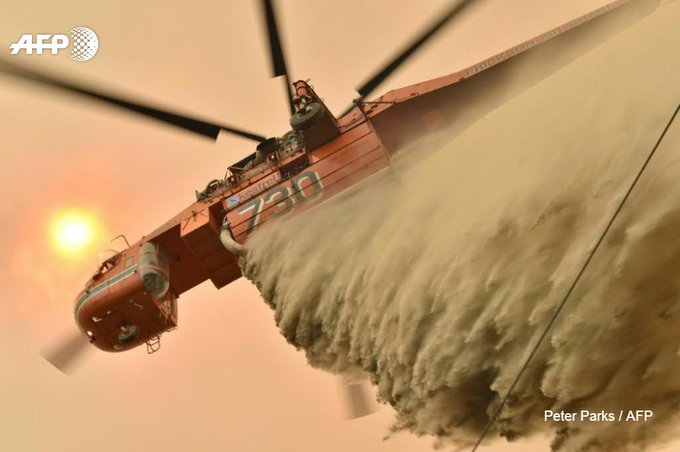 View image on Twitter