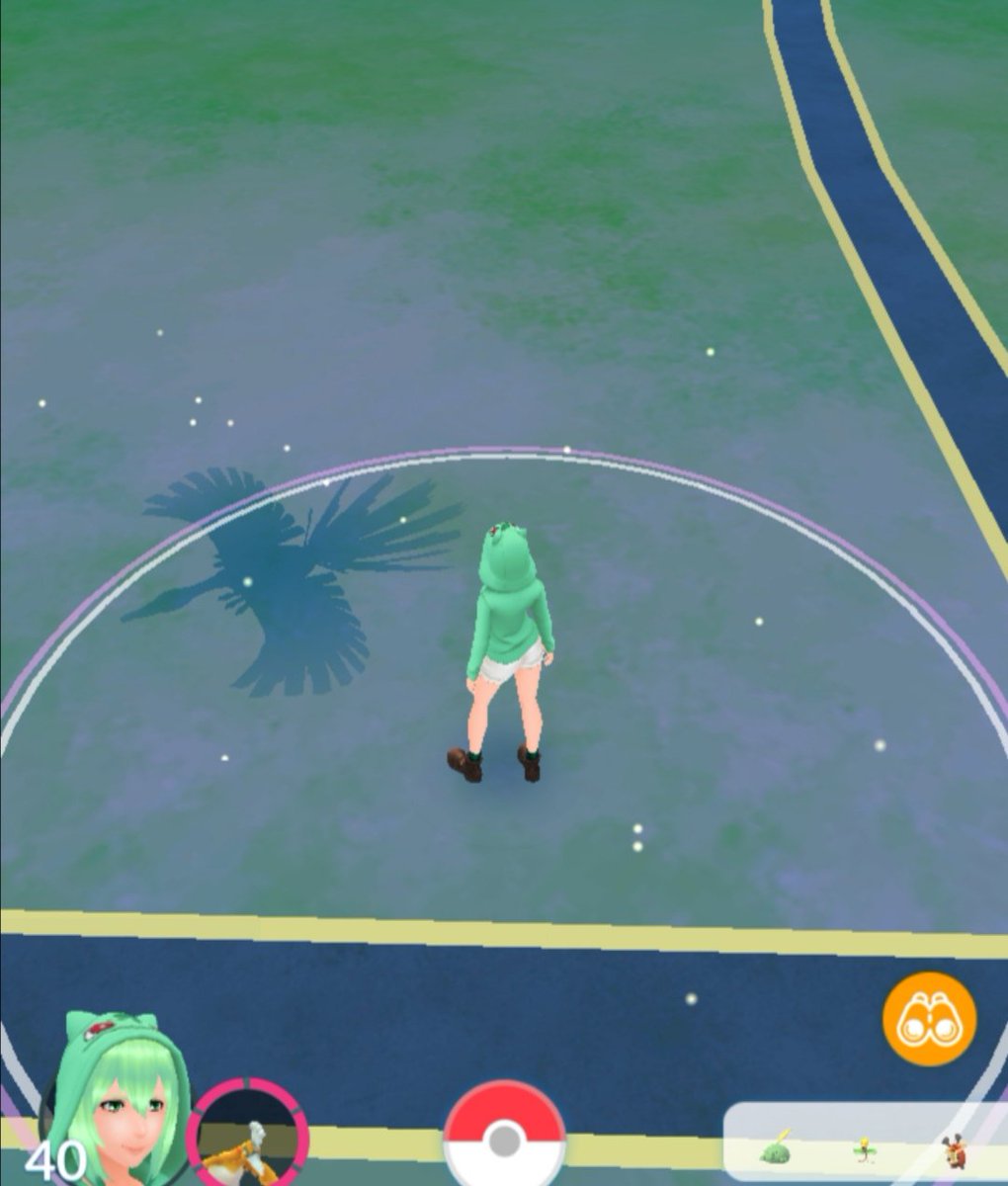 ポケモン Go 相棒 交代 回数 ポケモン Go 相棒 交代 回数