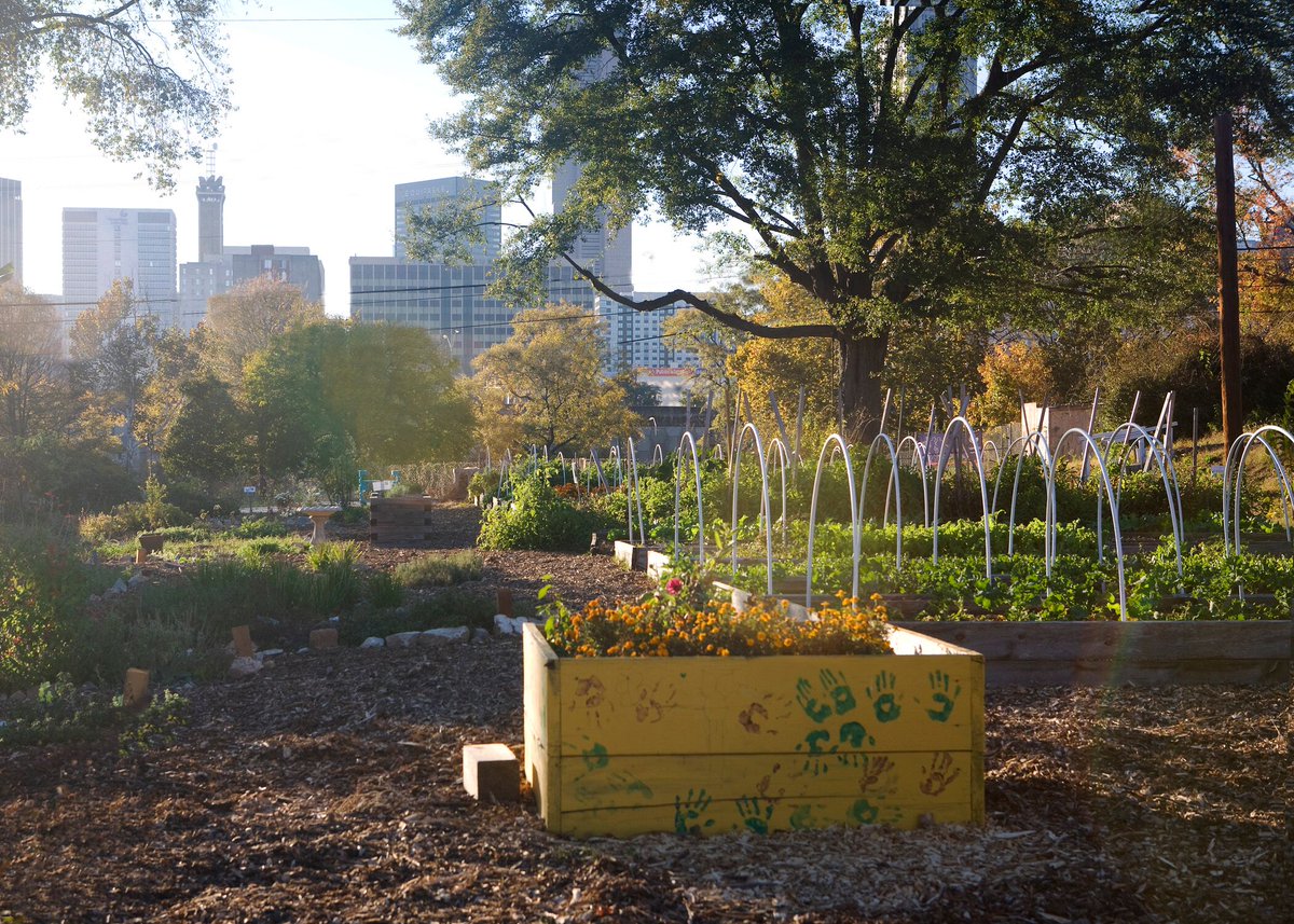 krashidnuri's tweet photo. Urban agriculture topples the myth that food production has to occur in wide-open spaces on large tracts of land. Local food economies create enterprises that grow, handle, process and sell locally produced food. #urbanagriculture #newfoodeconomy https://t.co/WmjI7qQqNO