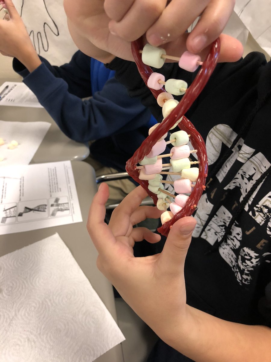 Exam is done and we need a brain break...make edible DNA!@PISDReynolds <a href="/drbellsci/">Meredith Bell</a> @DesignCoachO <a href="/JE_duke/">janisd</a>