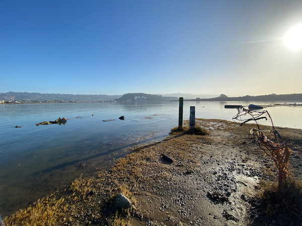 deconstructing sensory experience