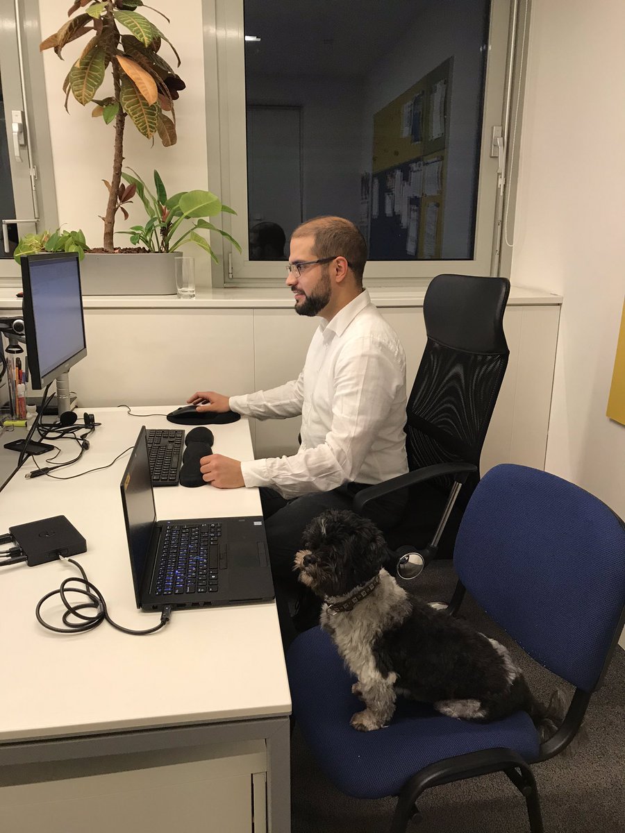 attilamolnar's tweet image. Proton came with me to work today to wish Happy Holidays to everyone. He was wondering if he could @takeielts  or @CambridgeEng, being only 13, but we have no restrictions on age, gender, race, nationality or religion. @BritishCouncil #officedog #dogatwork