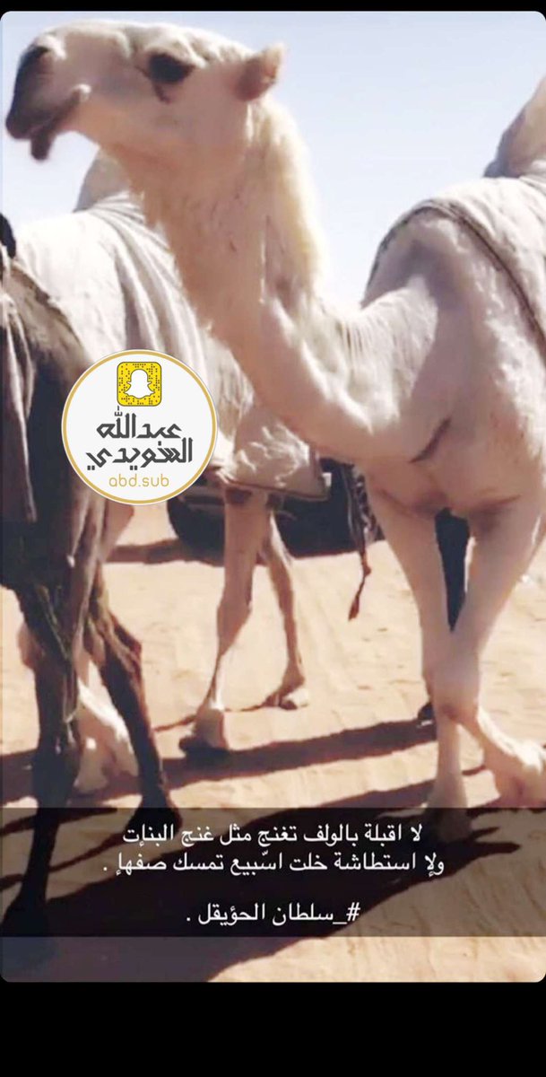 #تلاد_الوضح 
<a href="/xsx503/">منبر قبيلة ال محمد</a> 
<a href="/mnbr_subia3/">منبر سبيع الإعلامي</a>