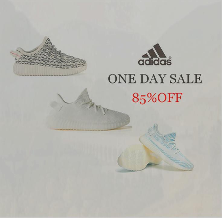 donna m hanrahan tweet media