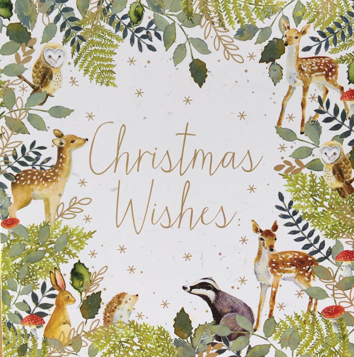 RyanTheFox's tweet photo. Merry Christmas to family, friends, clients and contacts. Here’s to a happy and successful 2020! https://t.co/sU0hPhQJn4