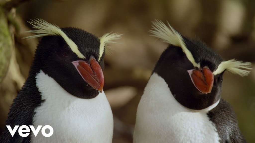 “James Blake - I'll Come Too” youtube.com/watch?v=GOJ5HY…