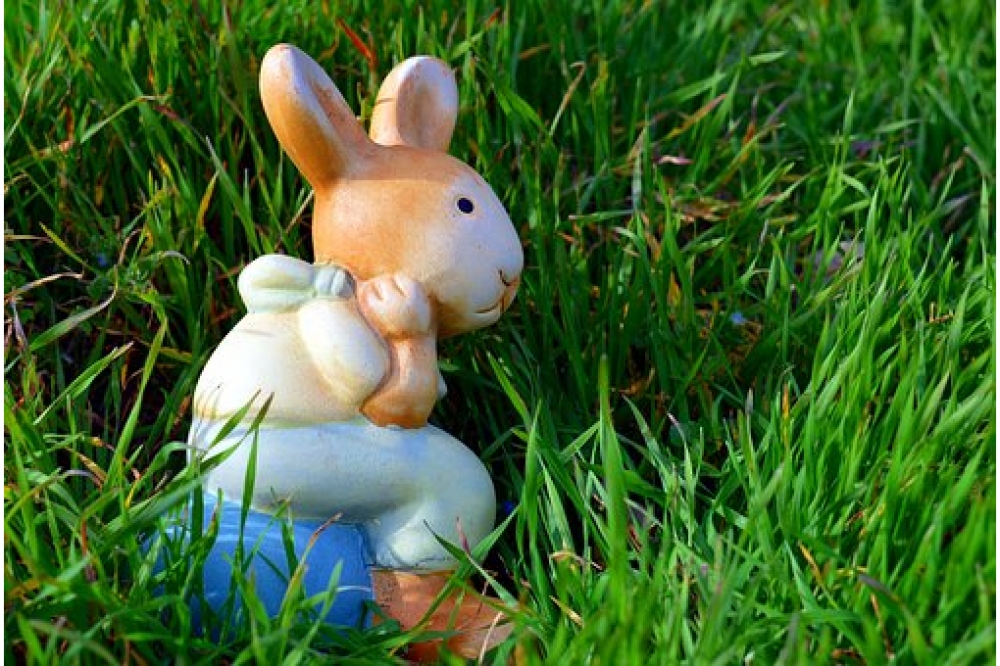 rabbitsandstyle's tweet photo. Does your rabbit knows any tricks?     

Love Rabbits? Visit us at: https://t.co/TgP9f3YSiF     

#bunnyinhollywood #bunnyspace #bunnyland https://t.co/GEiyMCzVmO