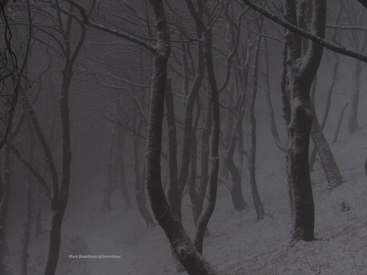 StormHour's tweet photo. Enter the Weather Photo Competition to win the @RMetS Calendar &amp; a year's membership! ~ https://t.co/a9lrrAVafX

1 image per Tweet
Send to @StormHour
Hashtags #StormHour &amp; #POTW only
Describe photo &amp; location
Only entries fulfilling these conditions can be considered :) ~ Mark https://t.co/cH68Sn34pH