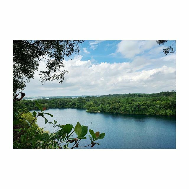 siouXree's tweet photo. u r a sight for sore eyes.. #ratherstunning #thatstillnessintime #hikeupworthit #breathtaking #puakahill #natureneverletyoudown #apixadaykeepsthebluesatbay https://t.co/kPLzfYe5uJ https://t.co/o9otlF1OnU