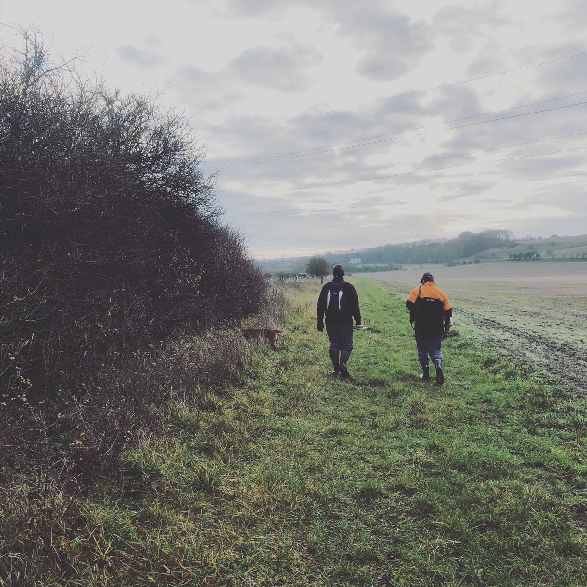 plant_our's tweet image. A pair of Wilsford stalwarts following the footpath (planted with a hedge last year) to plant between Charlton St Peter and Rushall #connectingcommunities #wildlifecorridors #communityplanting #plantforourlives