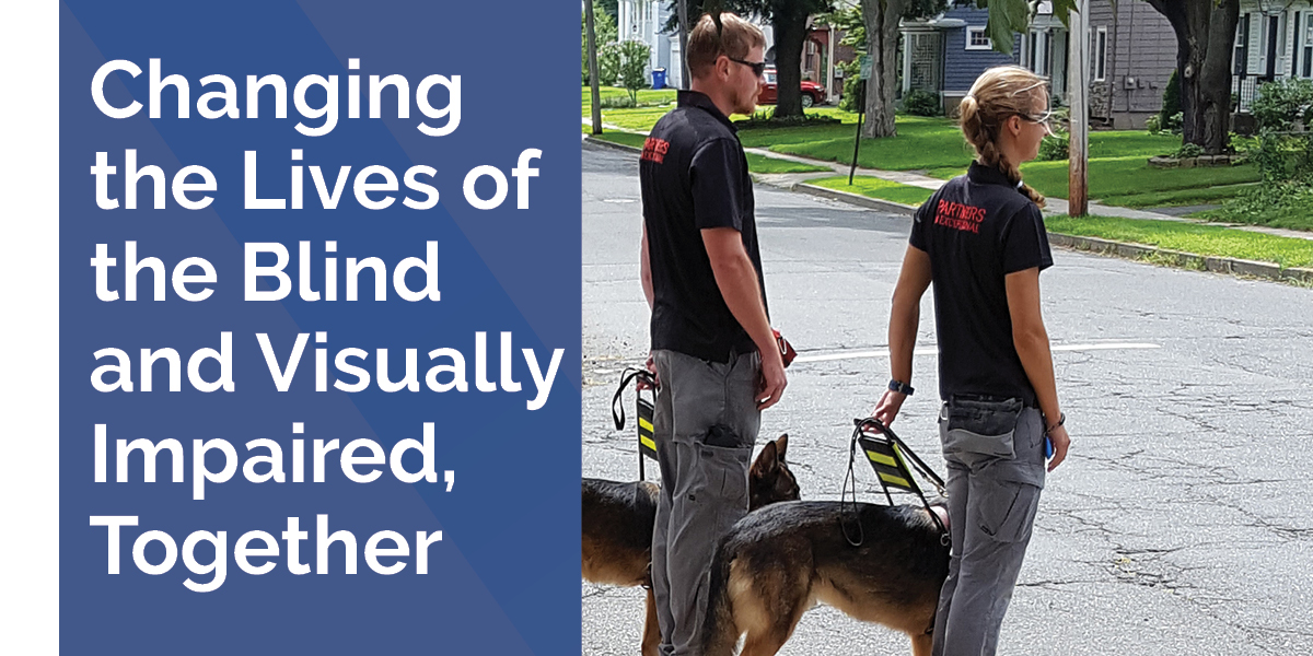 EschenbachOptik's tweet image. Fidelco Guide Dogs trainers work hard to ensure the dogs are exposed to different environments as part of their training. eschenbach.com/partner_projec… #eschenbachpartnerproject #fidelcoguidedogs #guidedogtraining #guidedogpuppy #visuallyimpaired #training #germanshepherd