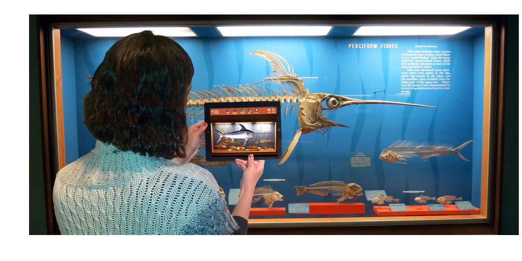 We are honored and very happy that today <a href="/VIAEmpresa/">VIA Empresa</a> dedicated an article to our project! 😊🙏

viaempresa.cat/empren/envjoy-…

For more information visit us at envjoy.com