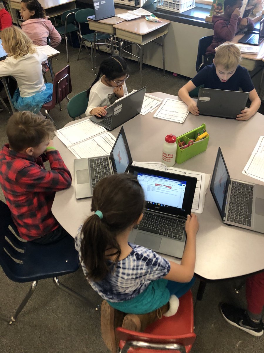 Rebecca Mathews tweet media